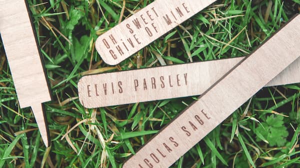 Co2 laser herb garden markers